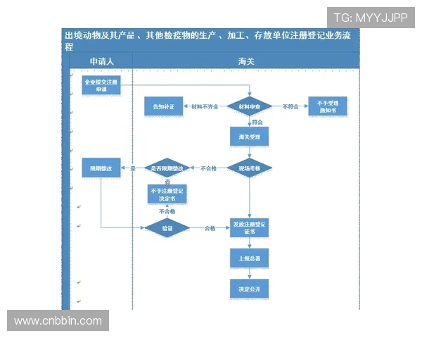 BBIN国际站注册流程详解：新手玩家快速入门的完整操作指南